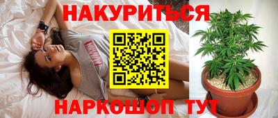 прущие крисы Сланцы