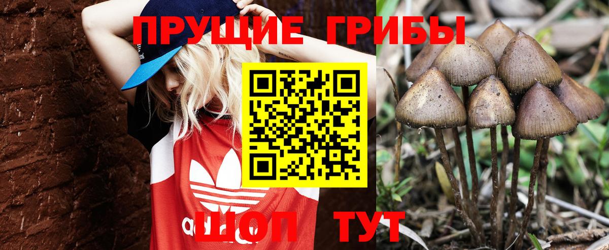 Нефтекумск  Псилоцибиновые грибы MAGIC MUSHROOMS  Вход с VPN  Галлюциногенные грибы Psilocybe 